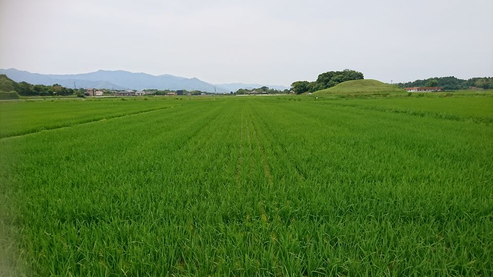 [2020/06/02]　梅雨入りしました！