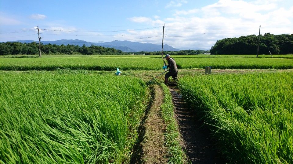 [2020/07/01]　貴重な晴れ間に！