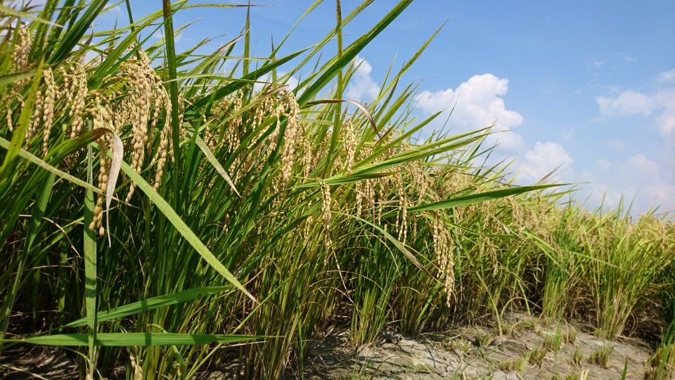 [2020/08/22]　今日も無事終了！