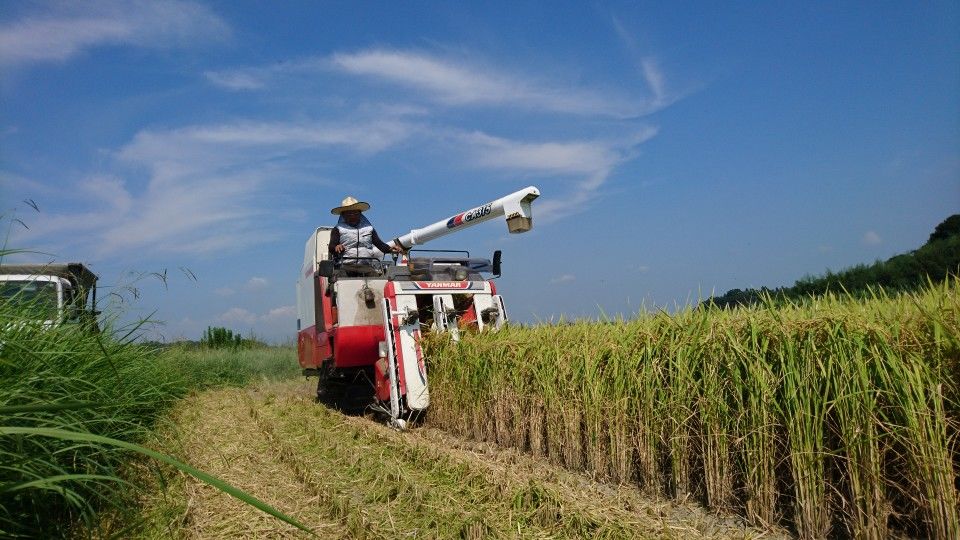 [2020/08/20]　今日も猛暑でした