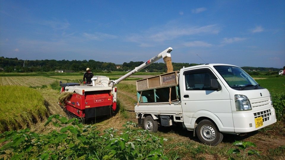 [2020/08/21]　稲刈りも終盤に...