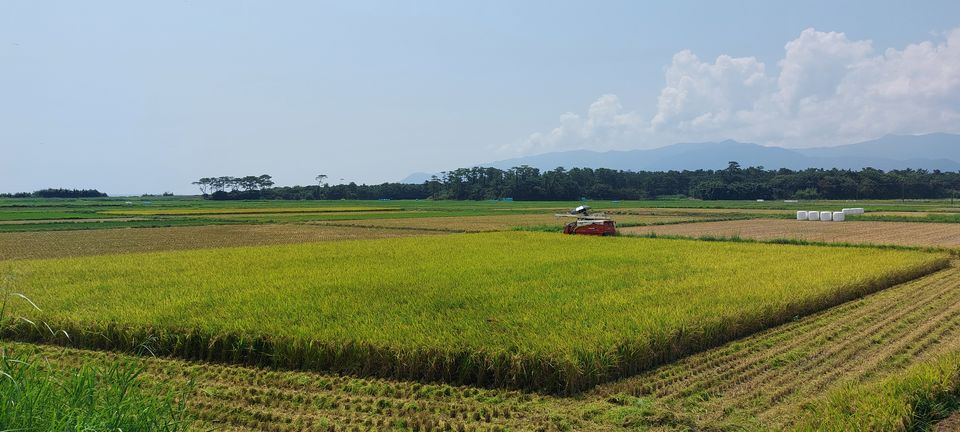 [2024/10/02]　令和6年産なつほのか【幸せ米】発売中です