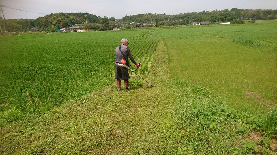 [2020/05/19]　畦の草刈り