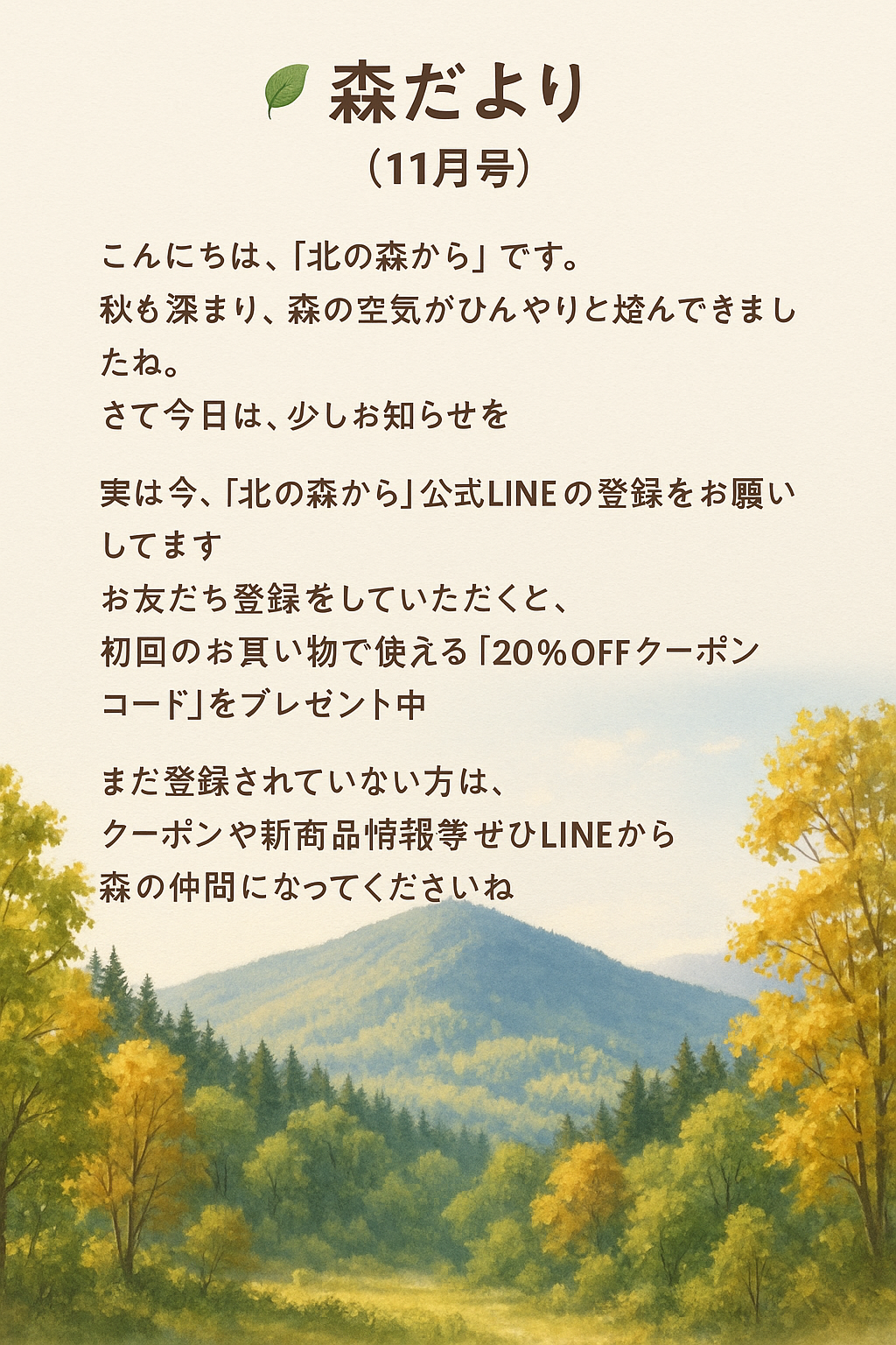 森だより🍃　１１月ー１号