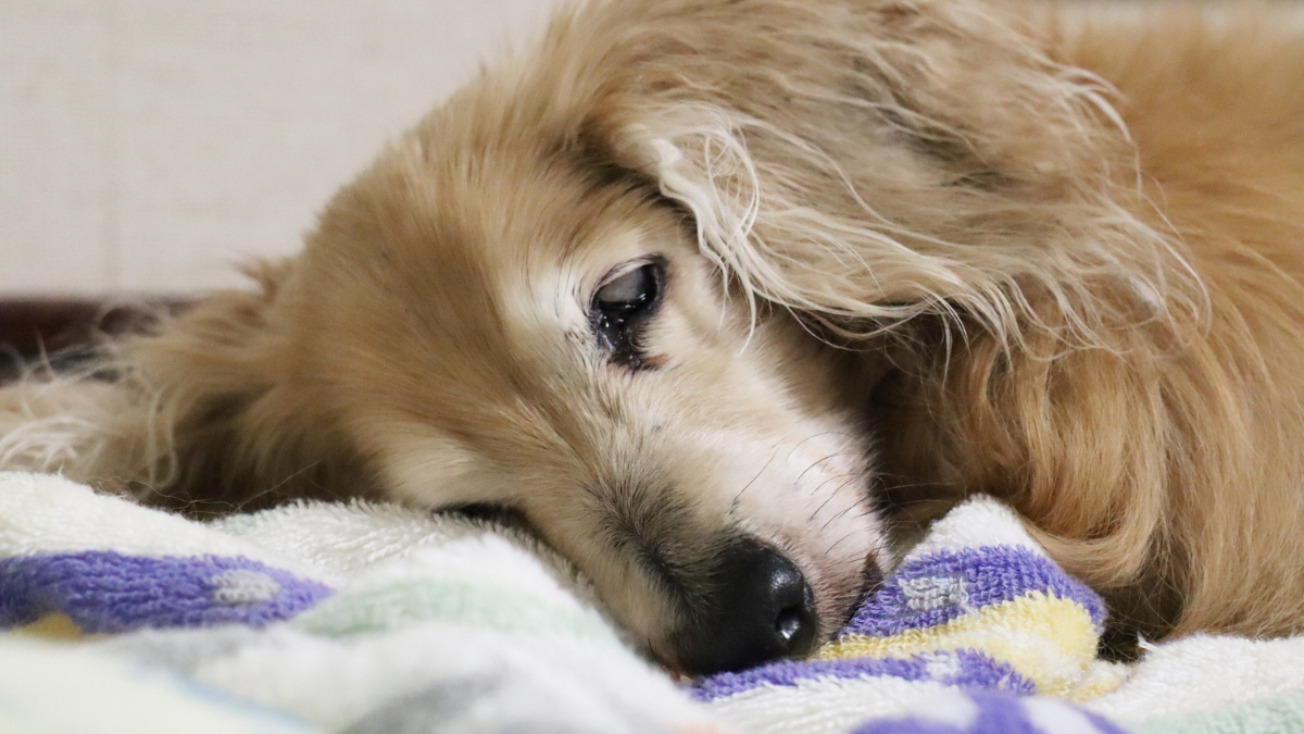 12月は「整える月」
