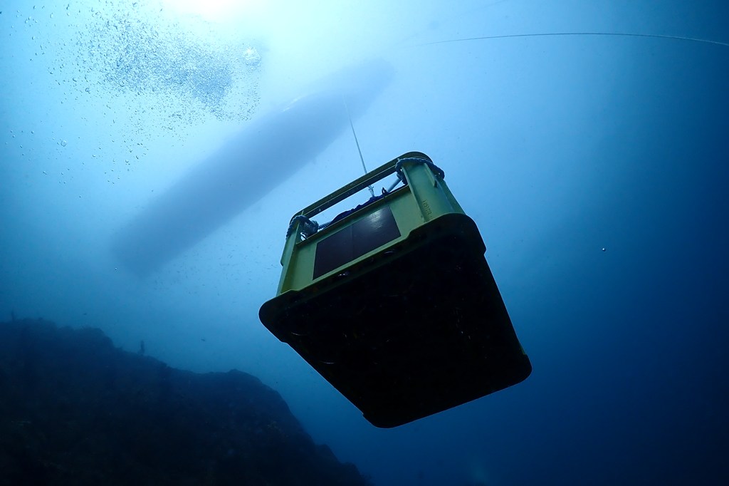 海底で熟成したお酒『龍宮造り』とは？神秘の味わいの秘密