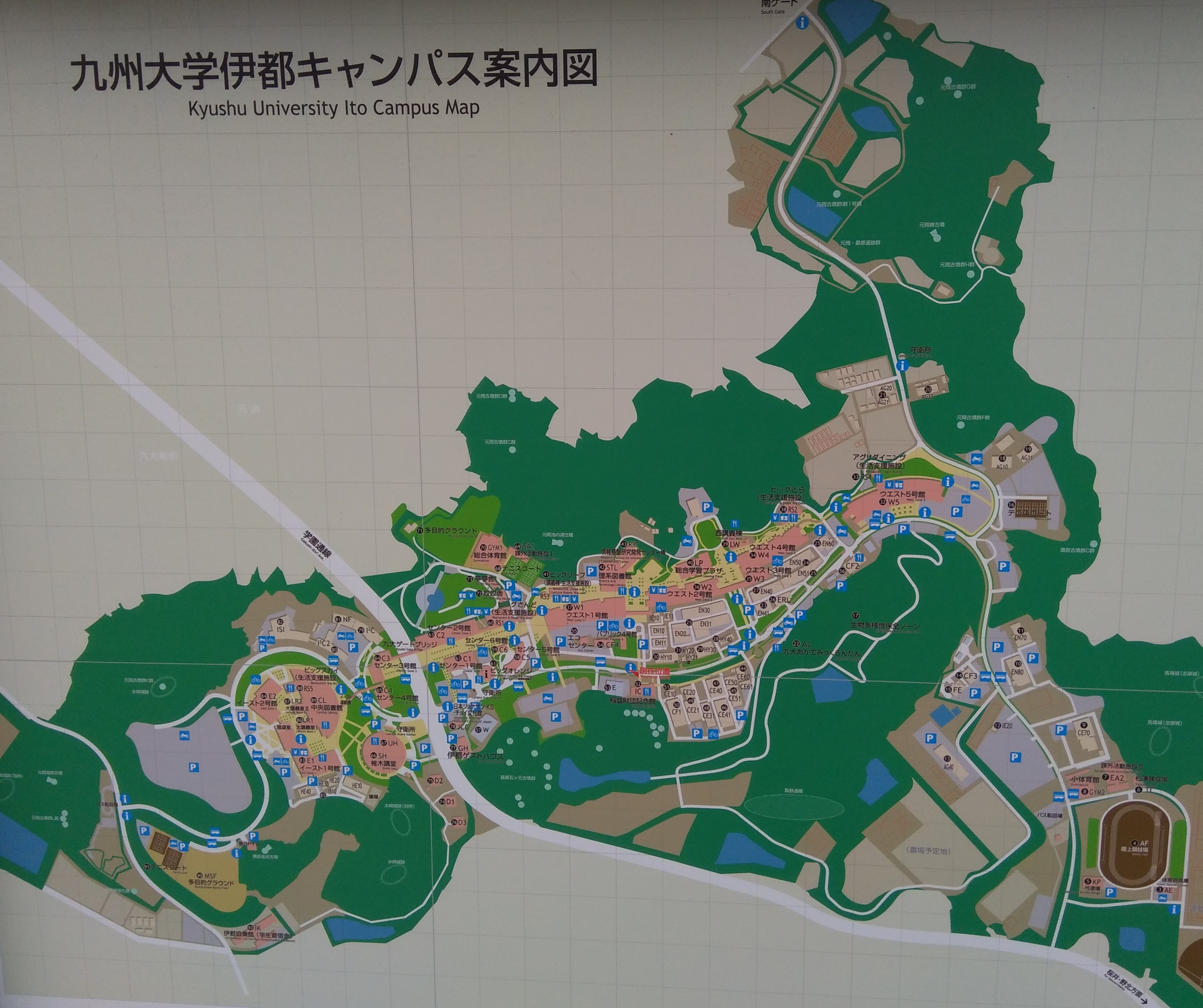㈱応用技術研究所の仕事