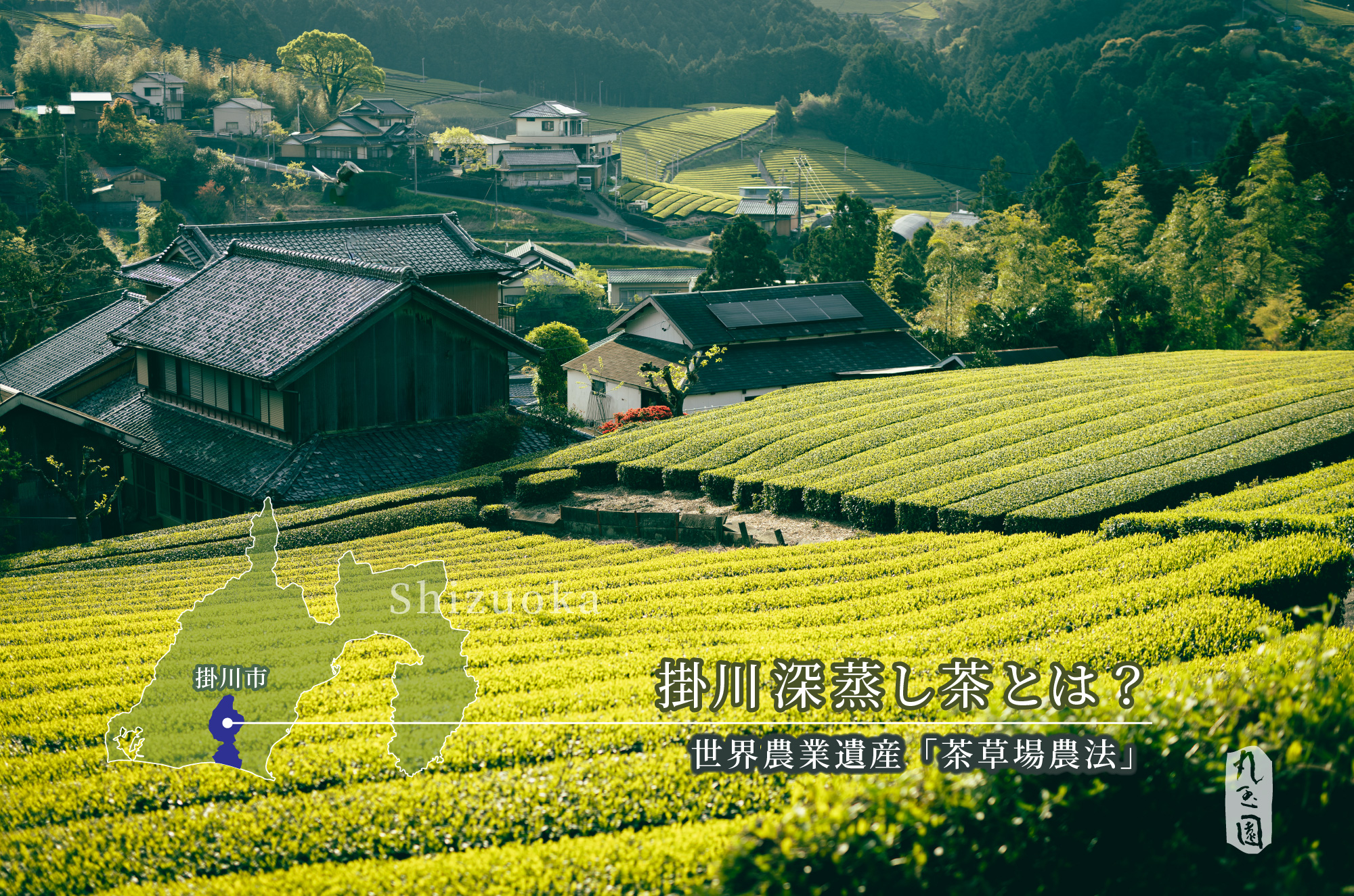 静岡「掛川深蒸し茶」と「茶草場農法」とは?