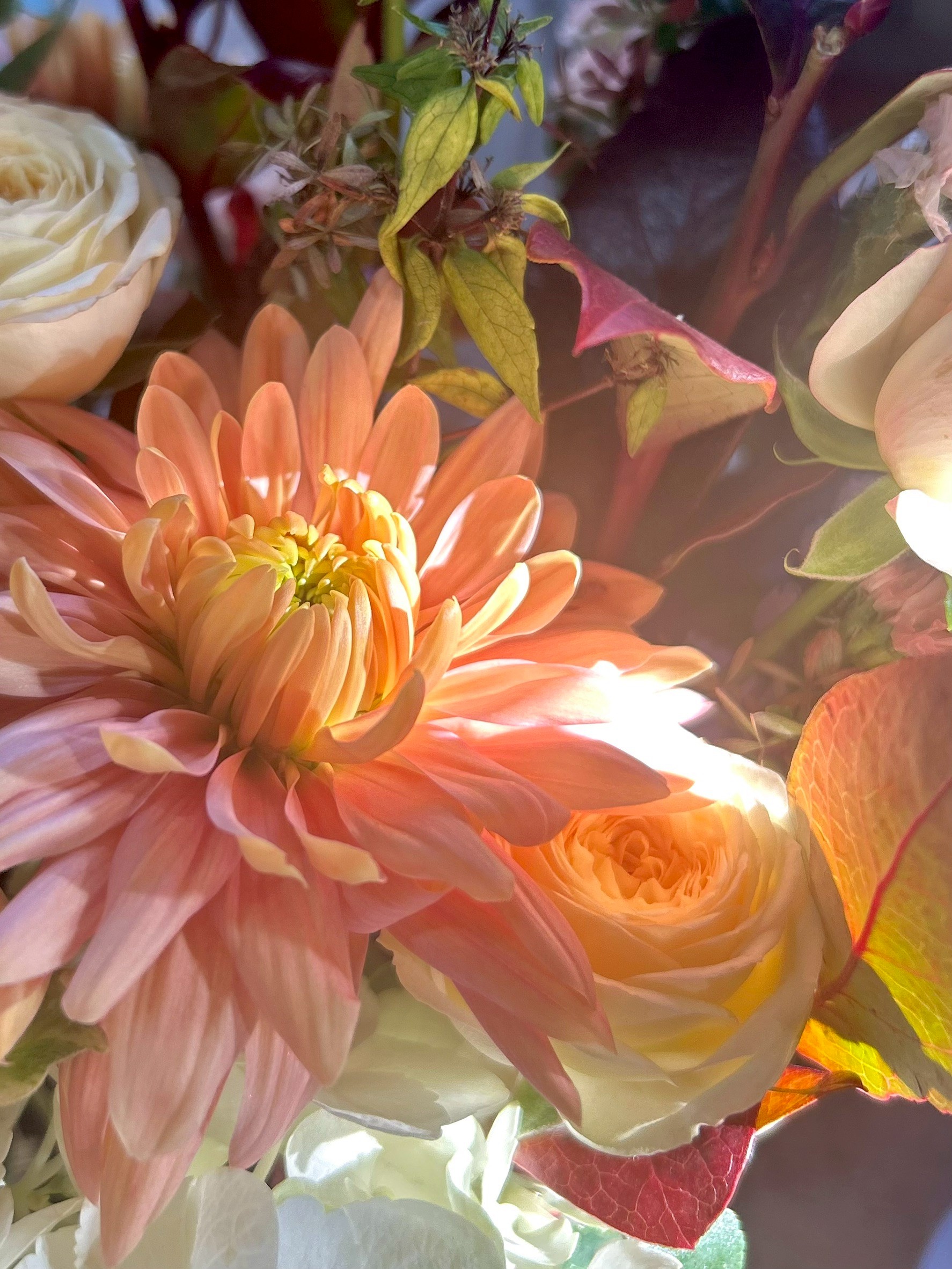 はじめまして。Siki[シキ]です。