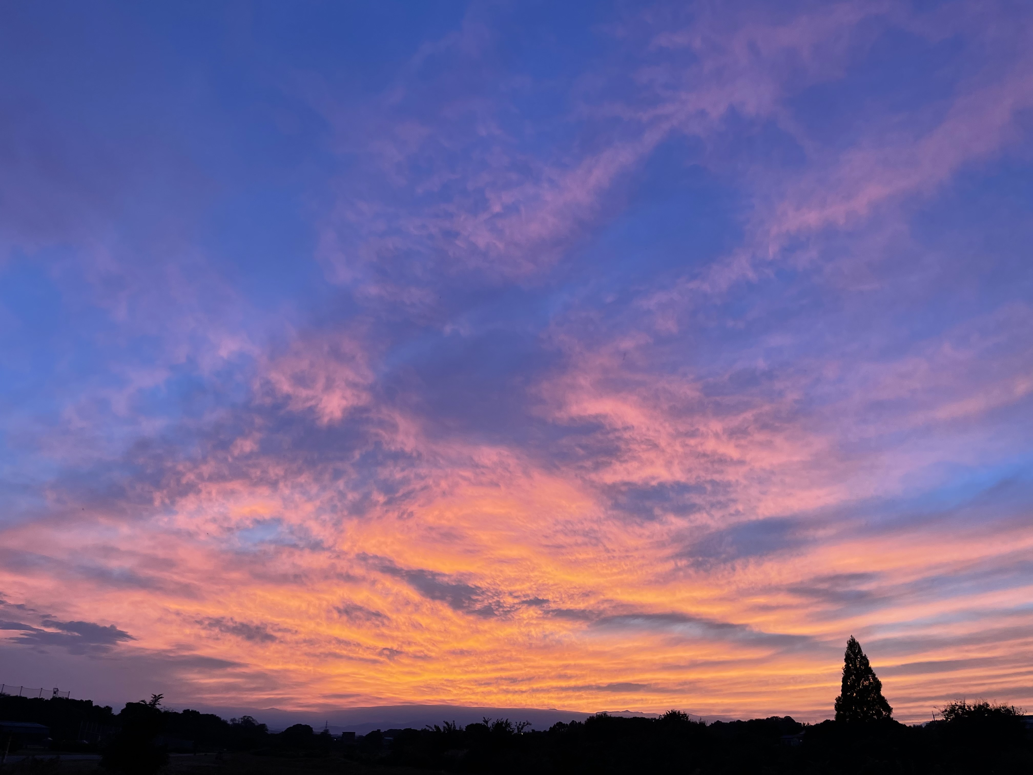からだを大切にするということ