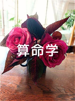 算命学占い 友人からの便り