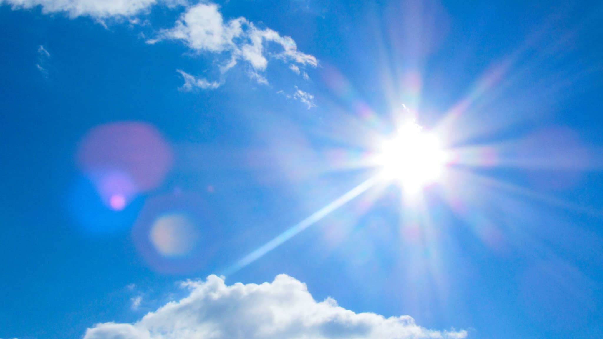 夏バテ対策に知っておきたい「7大栄養素」🌞