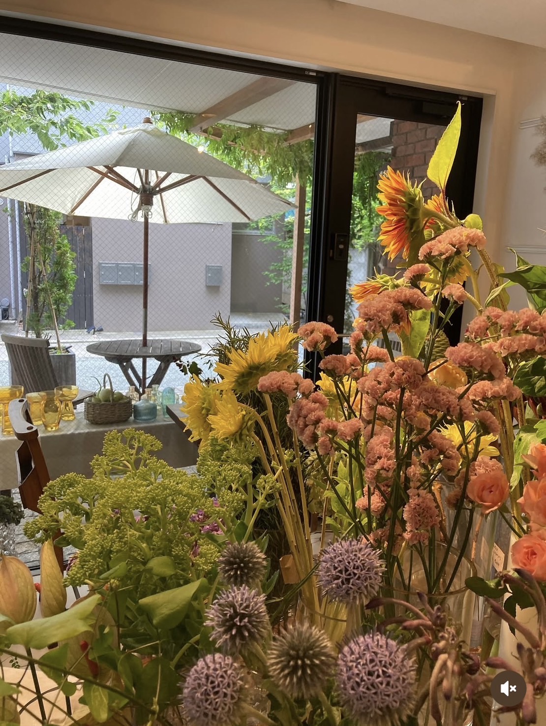 鎌倉直営店のいろいろ🌼