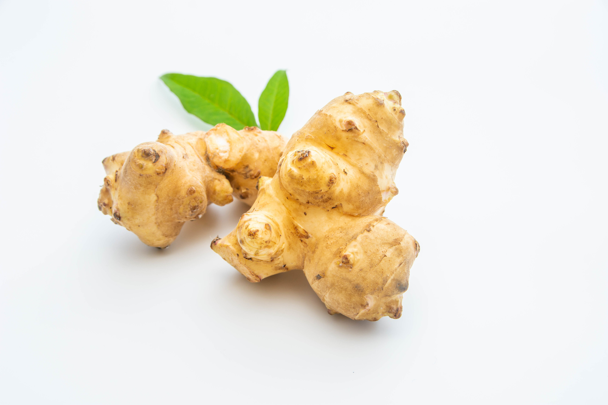 菊芋とごぼう、食物繊維はどっちが多い？