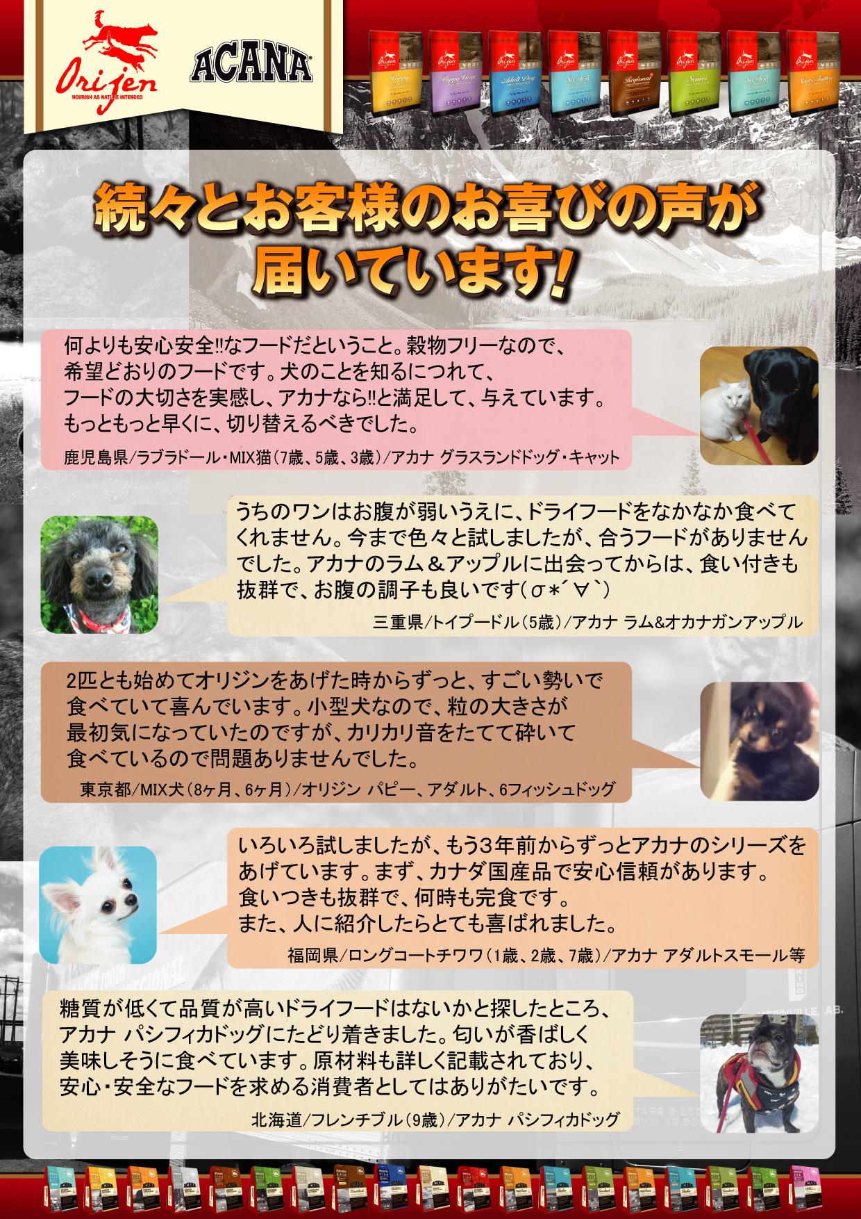 お客様の声　第一弾！