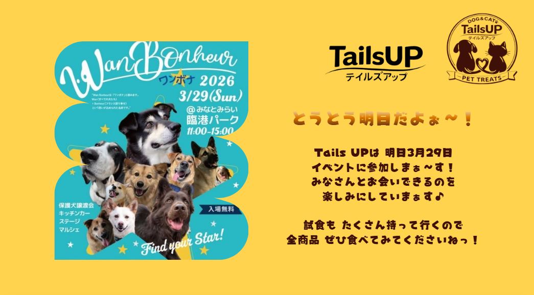 3月29日にイベントに参加しまぁす！