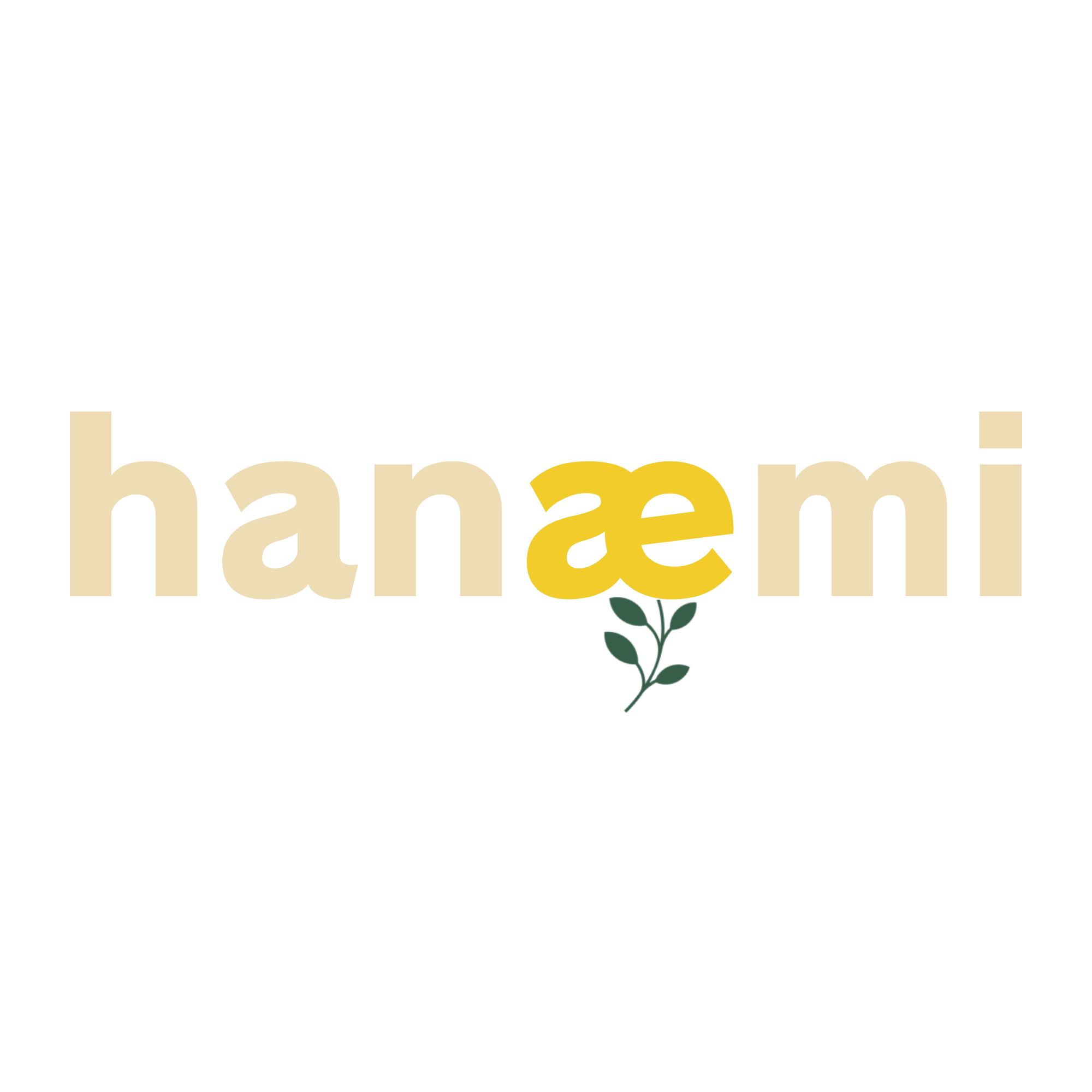 はじめまして【hanæmi-Gift】です！