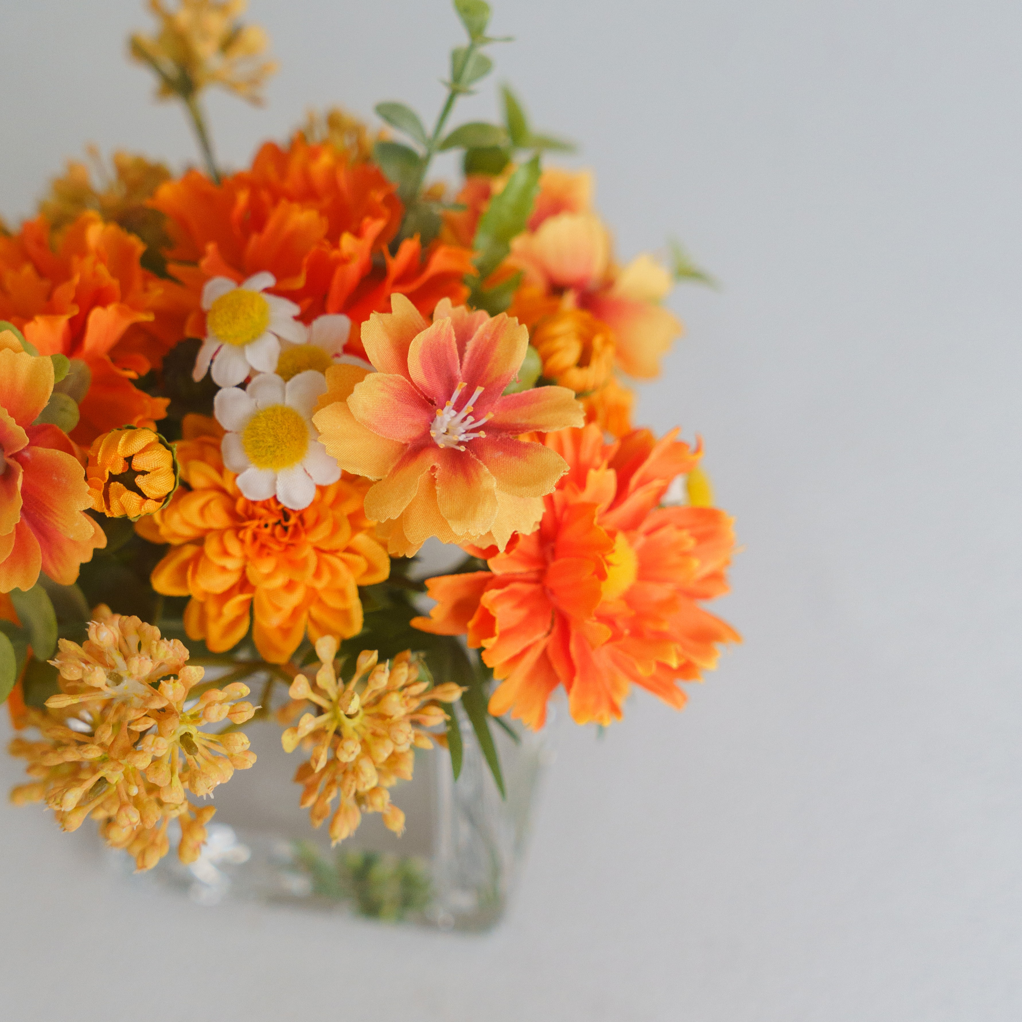 10月生まれの方へ。秋の誕生花と花言葉