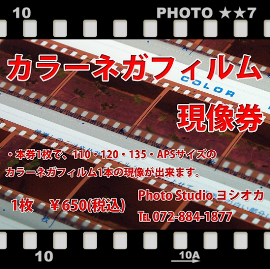 フジカラー FUJICOLOR 100 135-36枚撮り 10本セット