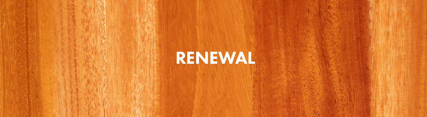 公式サイトをリニューアルしました！