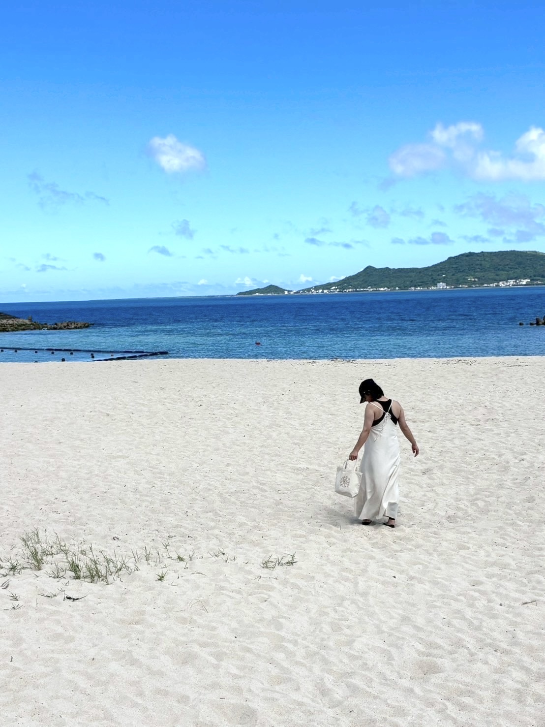 沖縄だより