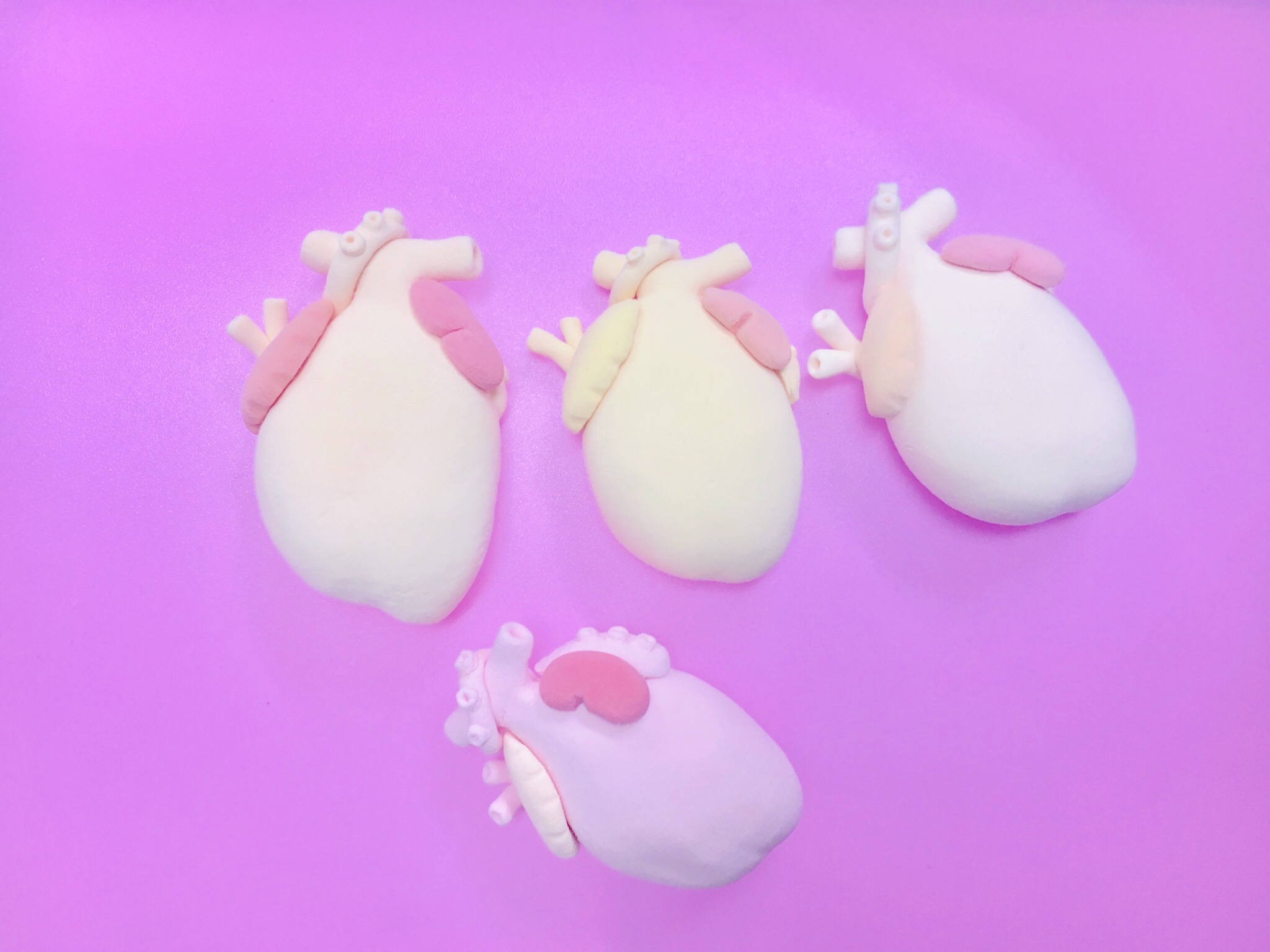 心臓を追加するべく…！