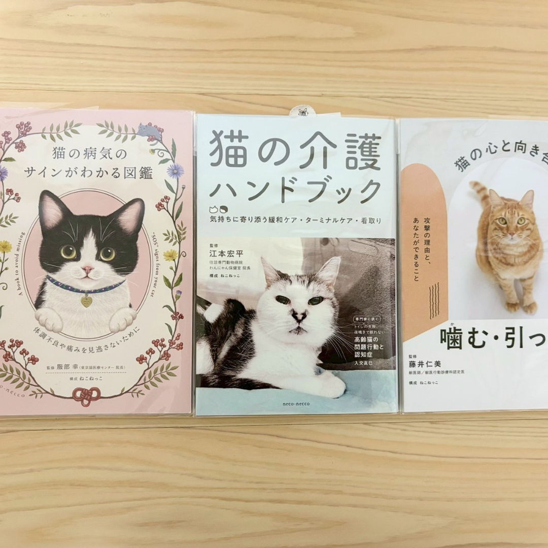 2026/8/22,23第13回にゃんこ集会出店者紹介⑪