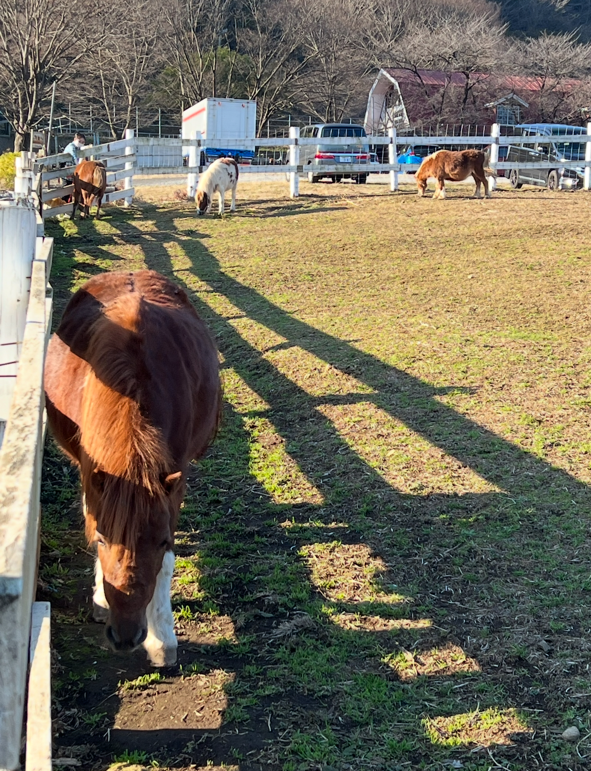 馬を水辺に連れて行くことはできても、水を飲ませることはできない