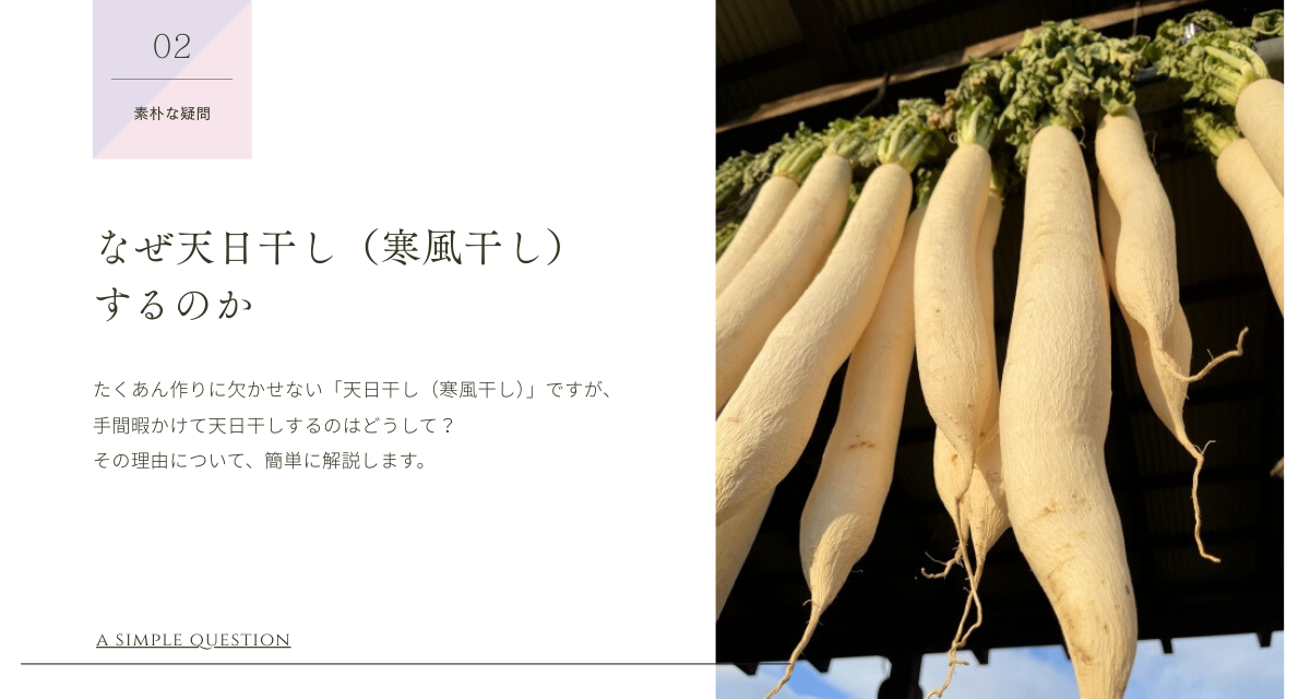 美味しいのには理由がある。干し大根がたくあんを救う4つの秘密