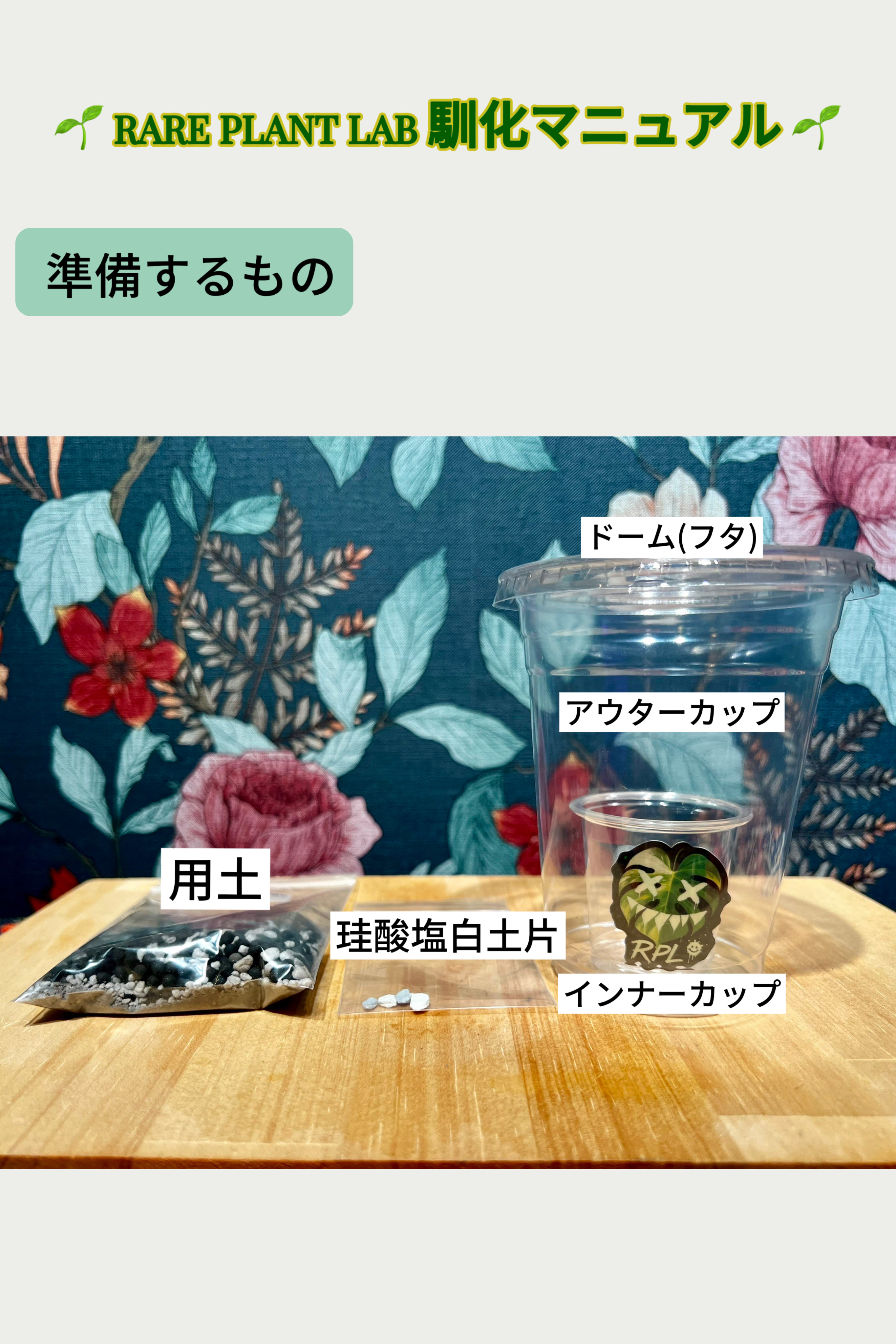 初心者でも安心!!RARE PLANT LAB 馴化マニュアル🌱