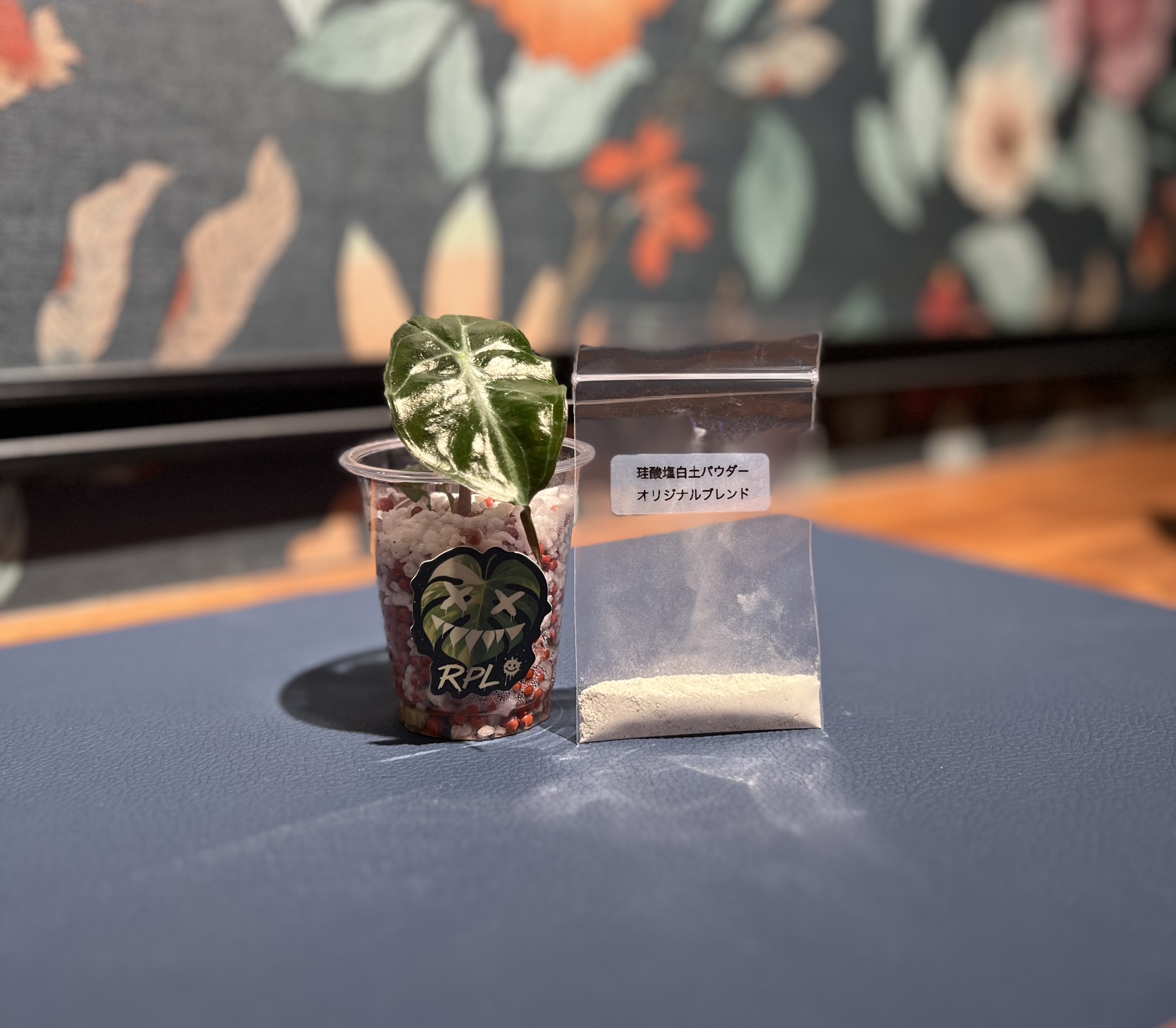 🌱 組織培養苗の順化❺｜なぜ珪酸塩白土なのか