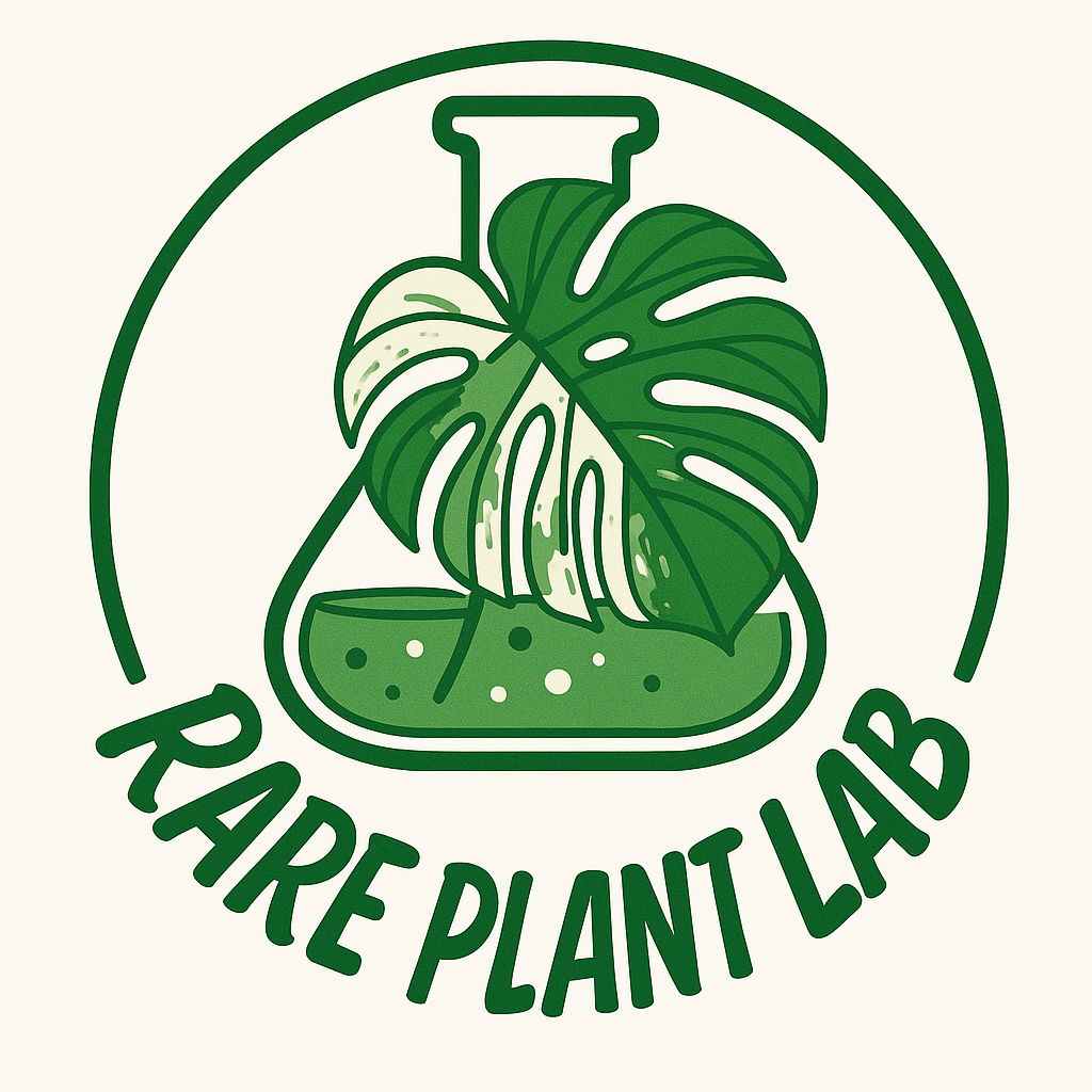 RARE PLANT LAB|予約販売スタートのお知らせ