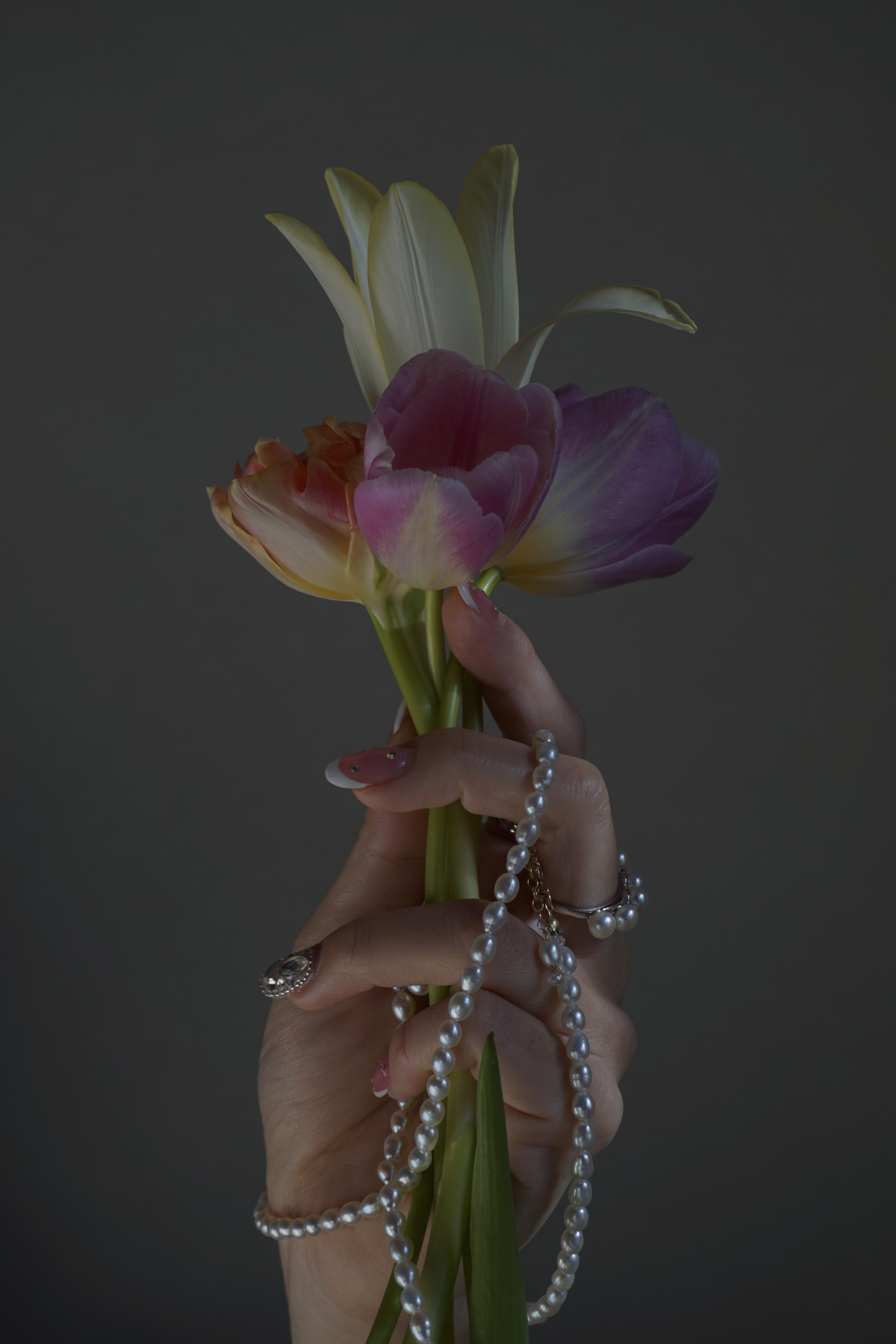 2月　ceremony collection