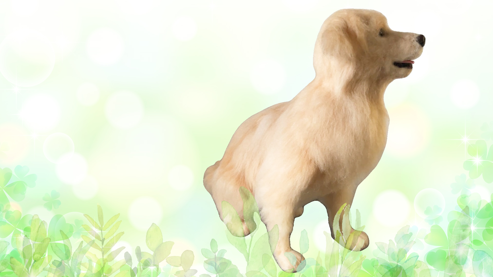 大きなゴールデンレトリバーが誕生しました