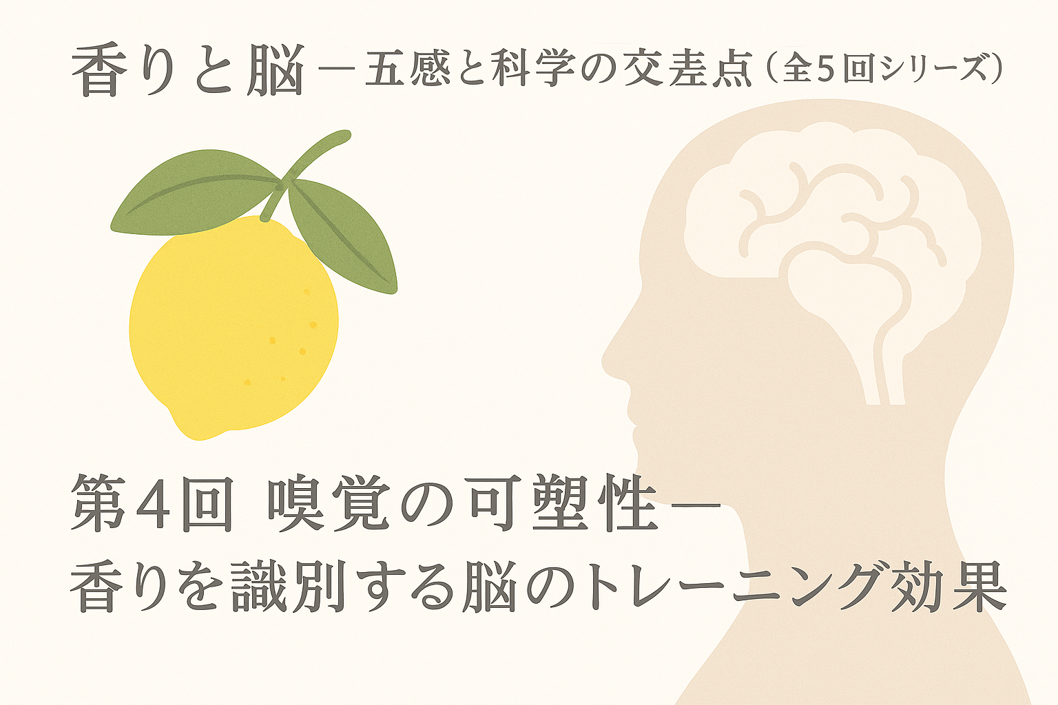 【第4回】嗅覚の可塑性 ― 香りを識別する脳のトレーニング効果