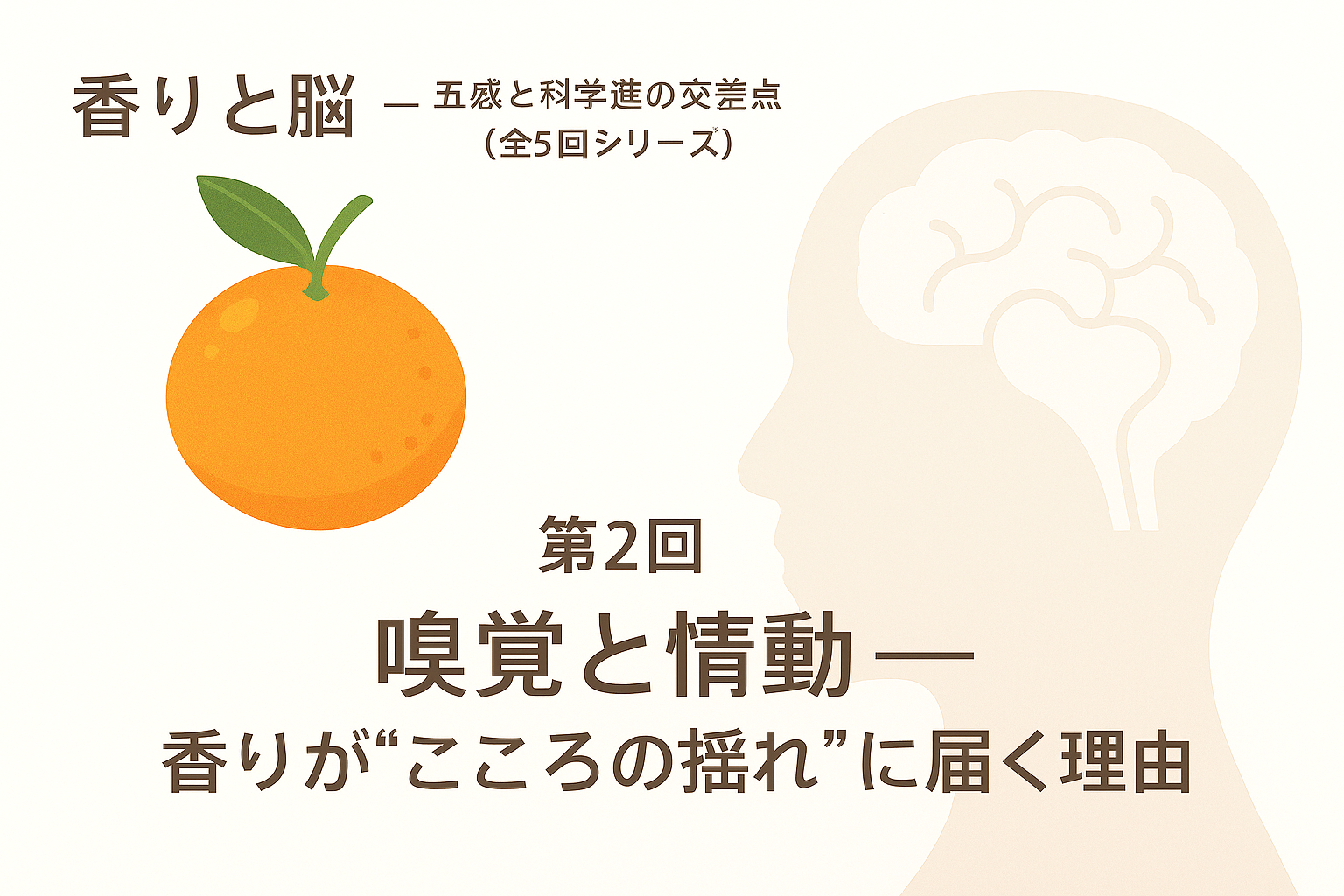 【第2回】嗅覚と情動 ― 香りが“こころの揺れ”に届く理由
