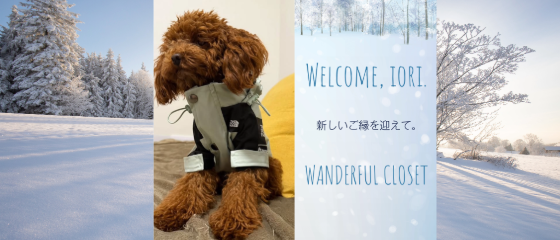 🐾モデル犬のご紹介🐾