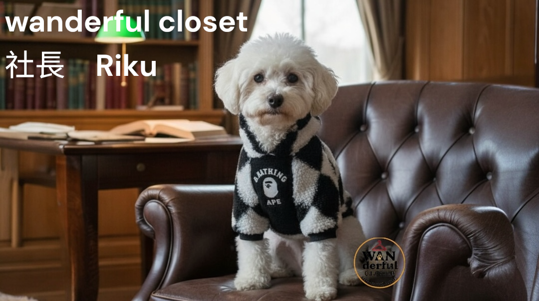 🐾ブランドコンセプト