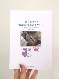 保護猫たちのフォトブック