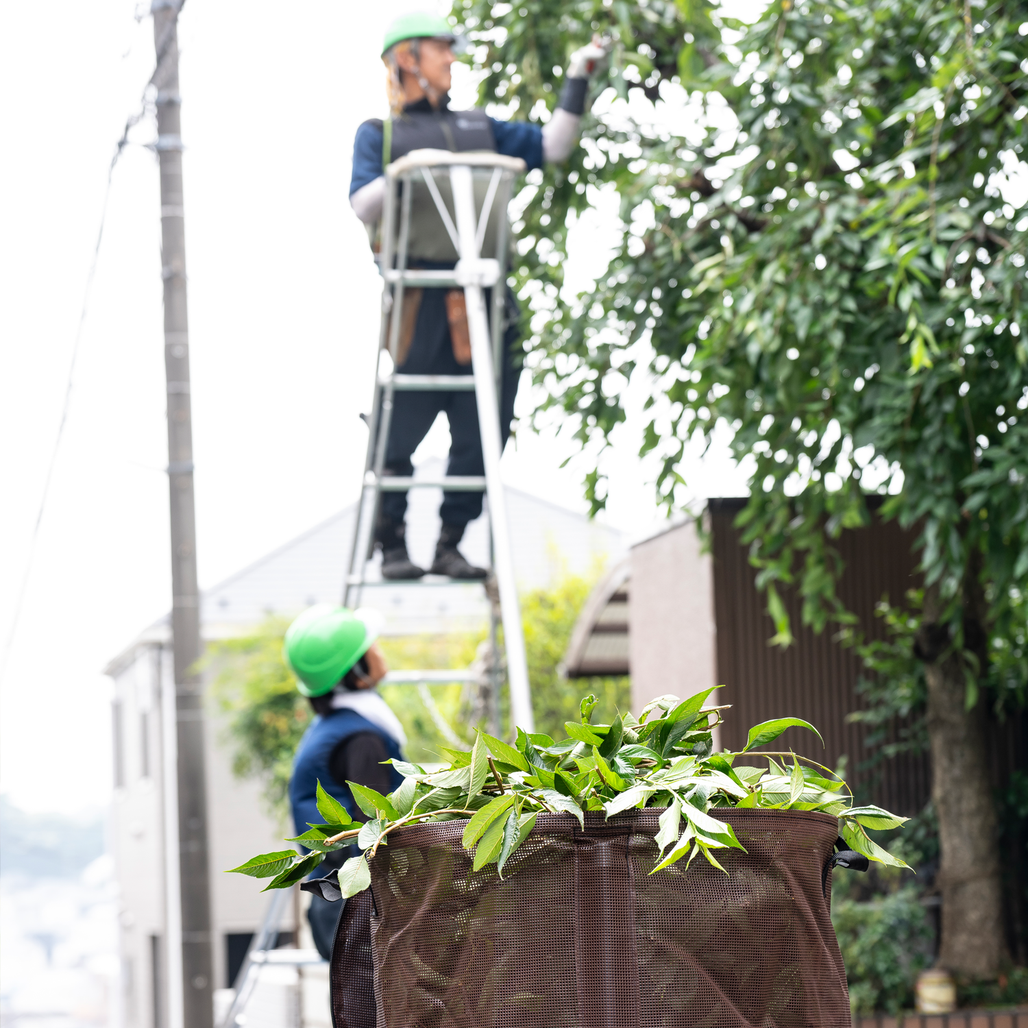 ずーっと続く「ガーデンバッグ割引」