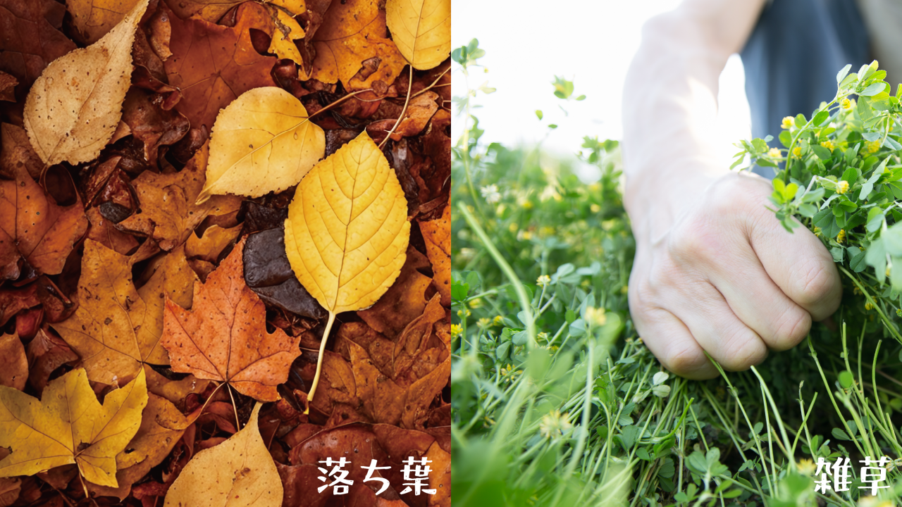 ガーデンバッグで落ち葉を土に還そう