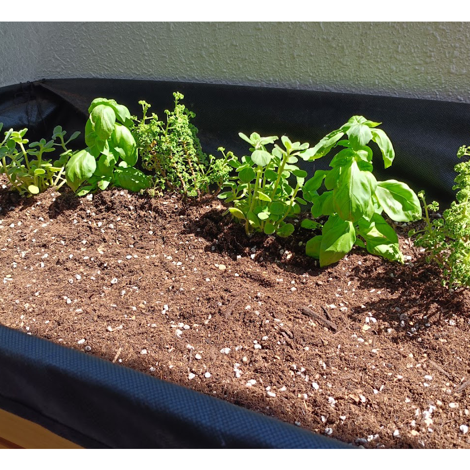 すきま畑と歩んだ160日　～パート3～