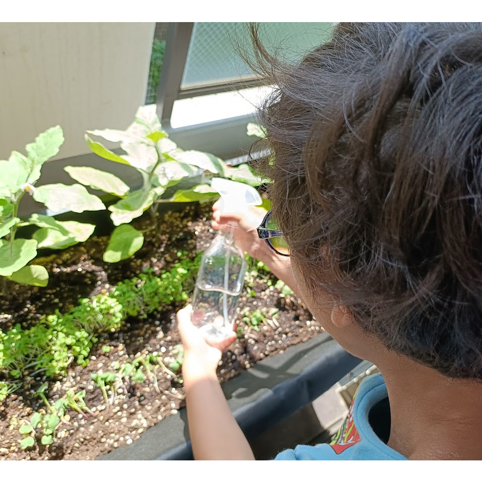 すきま畑と歩んだ160日　～パート2～