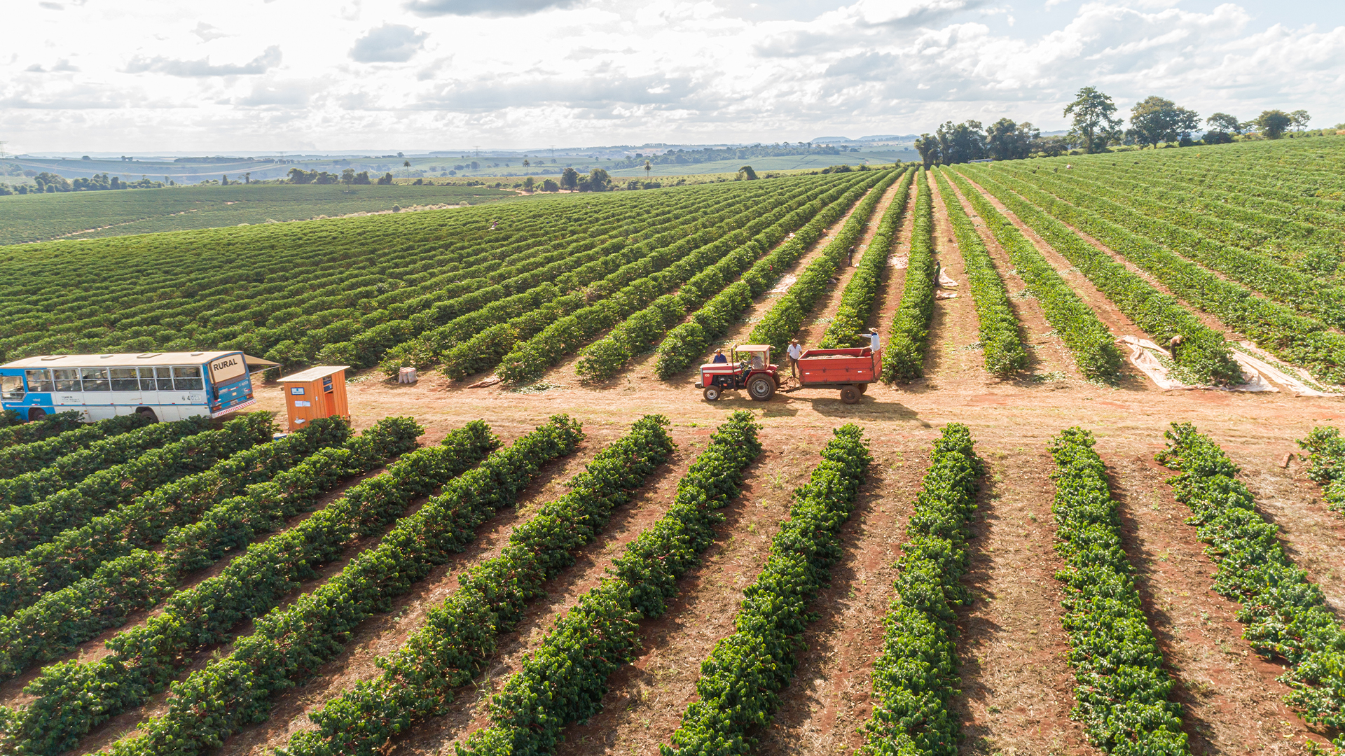スペシャルティコーヒーとは？