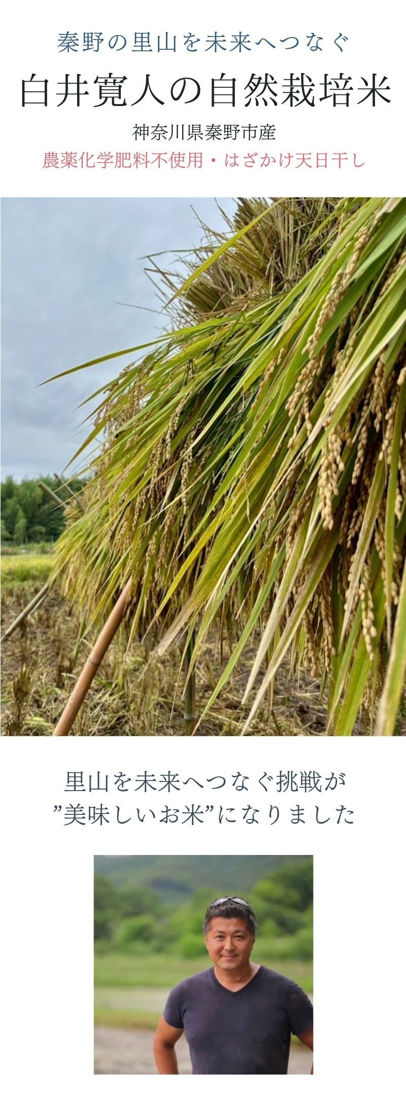 【完売御礼】『2025年度白井寛人の自然栽培米』は完売いたしました