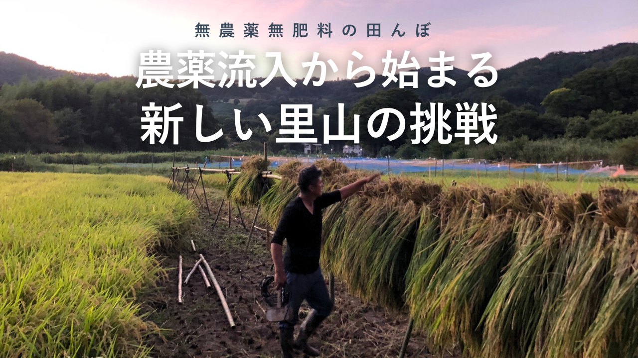 農薬流入から始まる、里山の挑戦『一粒万倍の種Vol.2』