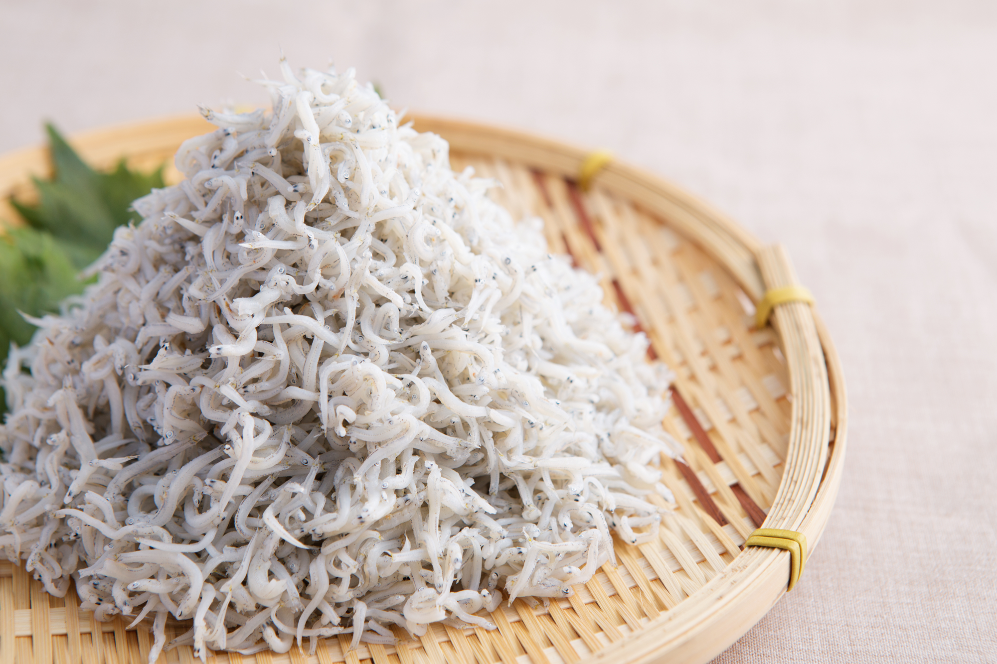 うま味がギュッとつまった日間賀島産・しらす ただいま販売中!!