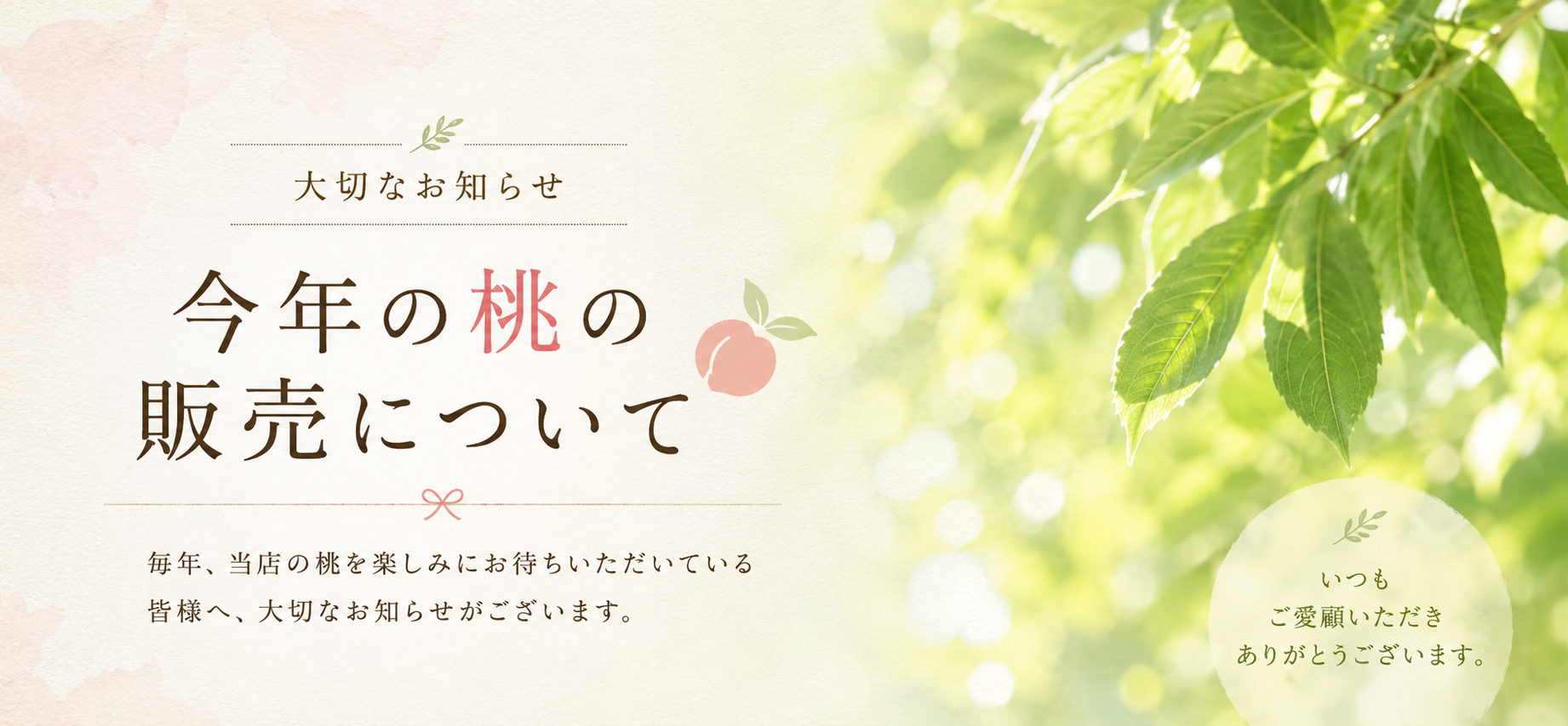 【お知らせ】今年の桃の販売について
