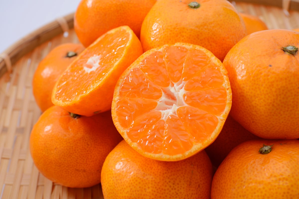 三ケ日青島みかんでビタミンチャージ♪期間限定で予約販売スタート!