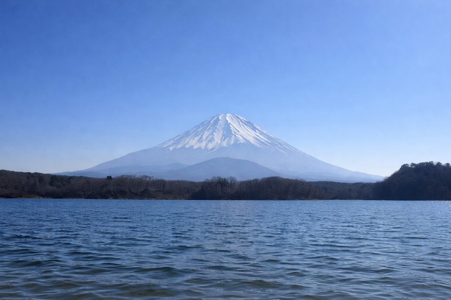 なぜ、私たちは「足さない」のか